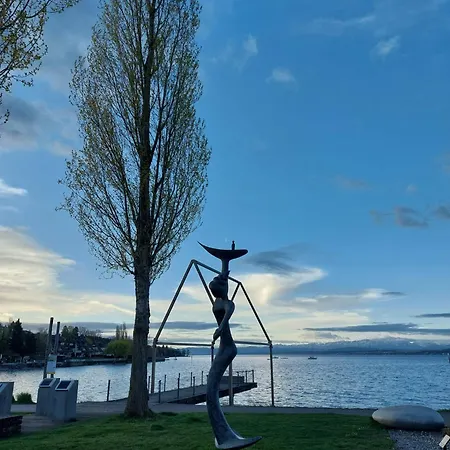 R7 Bodensee Mit Seesicht Sonnig Ruhig Gross