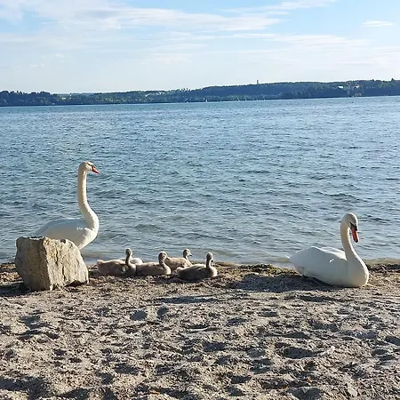 R7 Bodensee Mit Seesicht Sonnig Ruhig Gross * Uhldingen-Mühlhofen